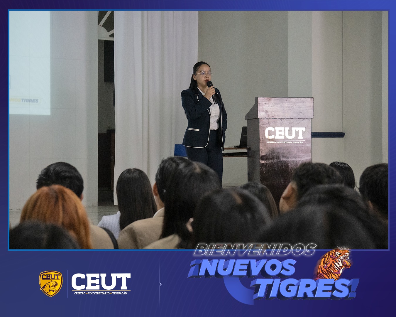 Bienvenido Nuevos Tigres